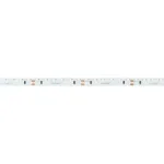 Светодиодная лента RS-S120-8mm 24V Day5000 (9.6W/m, IP20, 3014, 5m, боковое свечение) Arlight 039426