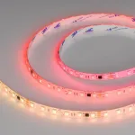Светодиодная лента герметичная SPI-SE-B60-10mm 24V RGB-PX6-BPT (12W/m, IP65, 5060, 5m, бегущий огонь) Arlight 039601