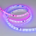 Светодиодная лента герметичная SPI-SE-B60-10mm 24V RGB-PX6-BPT (12W/m, IP65, 5060, 5m, бегущий огонь) Arlight 039601