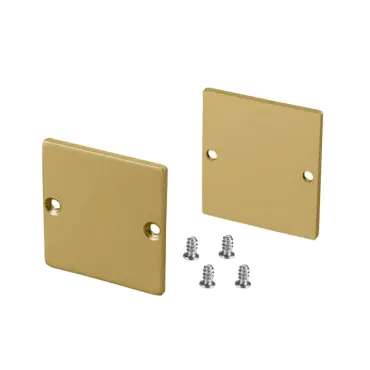Заглушка SL-LINE-3638-LW GOLD глухая Arlight 039983 Заглушка SL-LINE-3638-LW GOLD глухая Arlight 039983