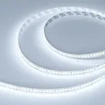 Светодиодная лента DOT-X192-10mm 24V White6000 (16W/m, IP20, 5m) Arlight 040187