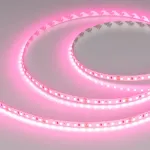 Светодиодная лента RT-A120-8mm 24V Pink (9.6W/m, IP20, 2835, 5m) Arlight 043380