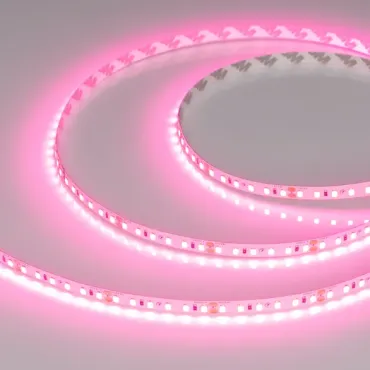 Светодиодная лента RT-A120-8mm 24V Pink (9.6W/m, IP20, 2835, 5m) Arlight 043380