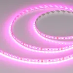 Светодиодная лента RT-A120-8mm 24V Magenta (9.6W/m, IP20, 2835, 5m) Arlight 043381
