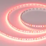 Светодиодная лента RT-A120-8mm 24V Scarlet (9.6W/m, IP20, 2835, 5m) Arlight 043383