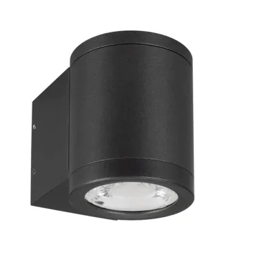 Уличный настенный светильник Arlight RAY 044852(1) Уличный настенный светильник Arlight RAY 044852(1)