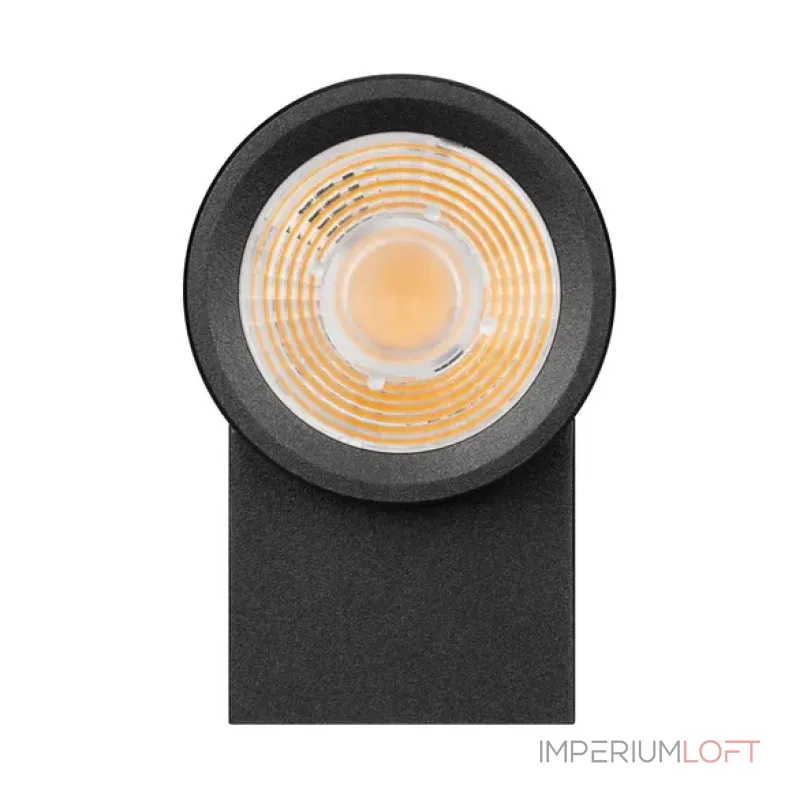 Уличный настенный светильник Arlight RAY 044852(1) Уличный настенный светильник Arlight RAY 044852(1)