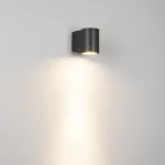 Уличный настенный светильник Arlight RAY 044852(1)