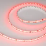 Светодиодная лента CSP-X840-12mm 24V RGBW-White (17.2W/m, IP20, 5m) Arlight 046935