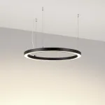 Подвесной светильник Arlight CIRCLE 49361