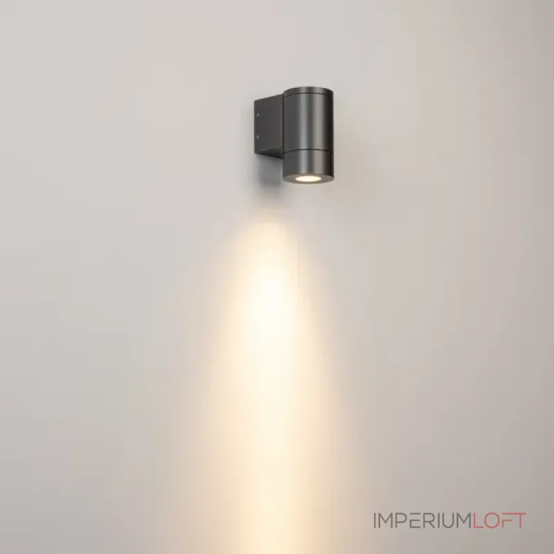 Уличный настенный светильник Arlight RAY 049984(1) Уличный настенный светильник Arlight RAY 049984(1)