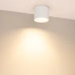 Потолочный светильник Arlight BISCOTTO 055006