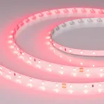 Светодиодная лента RT-A60-8mm 24V Ruby (4.8 W/m IP20 5m) Arlight 055374 (цена за метр, лот от 5 м)