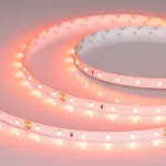 Светодиодная лента RT-A60-8mm 24V Carrot (4.8 W/m IP20 5m) Arlight 055375 (цена за метр, лот от 5 м)