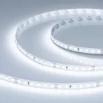 Светодиодная лента UL-A120-8mm 24V White6000 (2 W/m IP20 5m Открытый) Arlight 057519 (цена за метр, лот от 5 м)