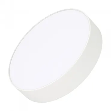 Arlight Светильник SP-RONDO-R250-30Вт Warm3000 WH 120 deg 230В IP40 022233(2)