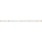 Arlight Лента RT-A30-8mm 24В Warm2400 2.9 В/м IP20 2835 5м 024111(2)