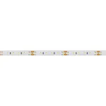 Arlight Лента MICROLED-M120-8mm 24В Warm2700 14 В/м IP20 2216 5м 024432(2)