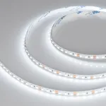 Arlight Лента NT-A120-8mm 12В White6000 9.6 В/м IP20 3528 5м 035704