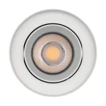 Arlight Светильник SP-FOCUS-R132-24Вт Day4000 WH 50 deg 230В IP54 054868