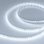 Arlight Лента DOT-X128-8mm 24В White6000 11 В/м IP20 5м 040186