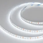 Arlight Лента NT-A120-8mm 12В White6000 9.6 В/м IP20 3528 5м 035704