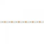 Arlight Лента NT-A120-8mm 12В White6000 9.6 В/м IP20 3528 5м 035704