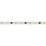 Arlight Лента SPI-B60-10mm 12В RGB-PX3-BPT 12 В/м IP20 5060 5м 039179