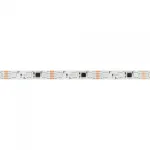 Arlight Лента SPI-B60-10mm 12В RGB-PX3-BPT 12 В/м IP20 5060 5м 039179