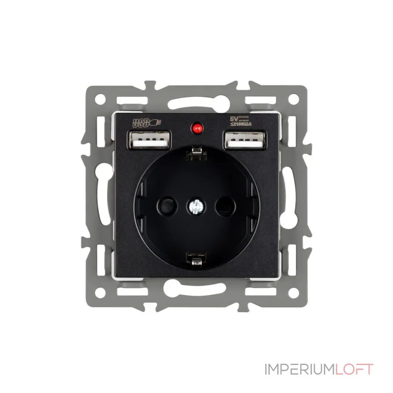 Arlight Механизм розетки с USB зарядкой SCT-MUAA-PL-BK 250В 16A 043734
