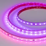 Arlight Лента герметичная SPI-PS-B60-12mm 24В RGB-PX6-BPT 12 В/м IP67 5060 5м 039181