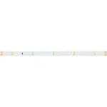 Arlight Лента RT-A30-8mm 24В Warm2400 2.9 В/м IP20 2835 5м 024111(2)