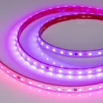 Arlight Лента герметичная SPI-PS-B60-12mm 24В RGB-PX6-BPT 12 В/м IP67 5060 5м 039181
