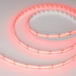 Arlight Лента CSP-X840-12mm 24В RGBW-Warm 17.2 В/м IP20 5м 046937