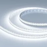 Светодиодная лента FC-A240-10mm 24V White6000-CX1 (24 W/m IP20 5m) Arlight 059175 (цена за метр, лот от 5 м)