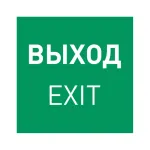 Пиктограмма EMGP-MARK-EXIT-FLAG (Выход) Arlight 064909