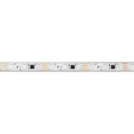 Arlight Лента герметичная SPI-PFS-B60-12mm 12В RGB-PX3-BPT 12 В/м IP68 5060 5м 039177