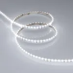 Arlight Лента RS-S120-8mm 24В White6000 9.6 В/м IP20 3014 5м боковое свечение 039428