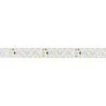 Arlight Лента RZ-A160-15mm 24В White6000 19.2 В/м IP20 2835 5м 036016