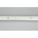 Arlight Лента герметичная RTW-PFS-A60-11mm 24В Green 4.8 В/м IP68 2835 5м 034181