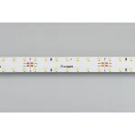 Arlight Лента RT-A140-20mm 24В White6000 22 В/м IP20 2835 4.7м 028111(2)