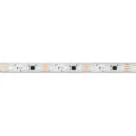 Arlight Лента герметичная SPI-PFS-B60-12mm 12В RGB-PX3-BPT 12 В/м IP68 5060 5м 039177