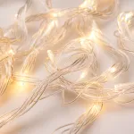 Arlight Светодиодная гирлянда ARD-STRING-HOME-10000-CLEAR-99LED-RUN WARM 230В 10.5Вт Ardecoled IP20 025917