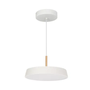 Arlight Светильник SP-ELEGANT-R300-17Вт Day4000 WH 120 deg 230В IP20 033919(1)