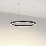 Светильник SP-CIRCLE-HANG-O3535-D600-35Вт Day4000 RAL9005 120 deg 230В IP40 LED Arlight Алюминий 049361