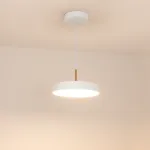 Arlight Светильник SP-ELEGANT-R300-17Вт Warm3000 WH 120 deg 230В IP20 033914(1)