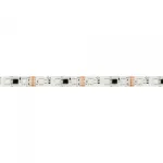 Arlight Лента герметичная DMX-SE-B60-10mm 12В RGB-PX3 14 В/м IP65 5060 5м 039604