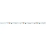 Arlight Лента RS-S120-8mm 24В Warm3000 9.6 В/м IP20 3014 5м боковое свечение 039429