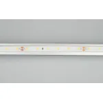 Arlight Лента герметичная RTW-PFS-A60-11mm 24В Red 4.8 В/м IP68 2835 5м 034182