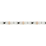 Arlight Лента герметичная DMX-SE-B60-10mm 12В RGB-PX3 14 В/м IP65 5060 5м 039604
